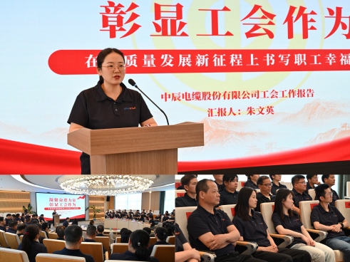 d1912ec47730a56bc0556c403d44e91c(1).jpg
