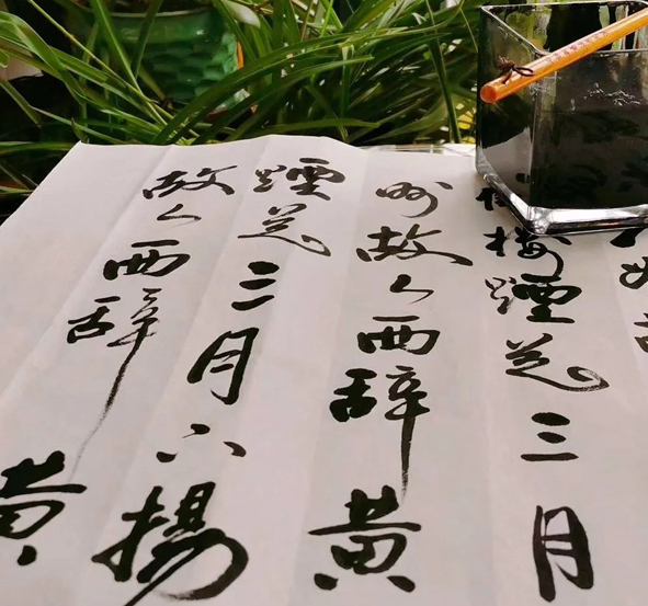 Z6·尊龙「中国」官方网站
